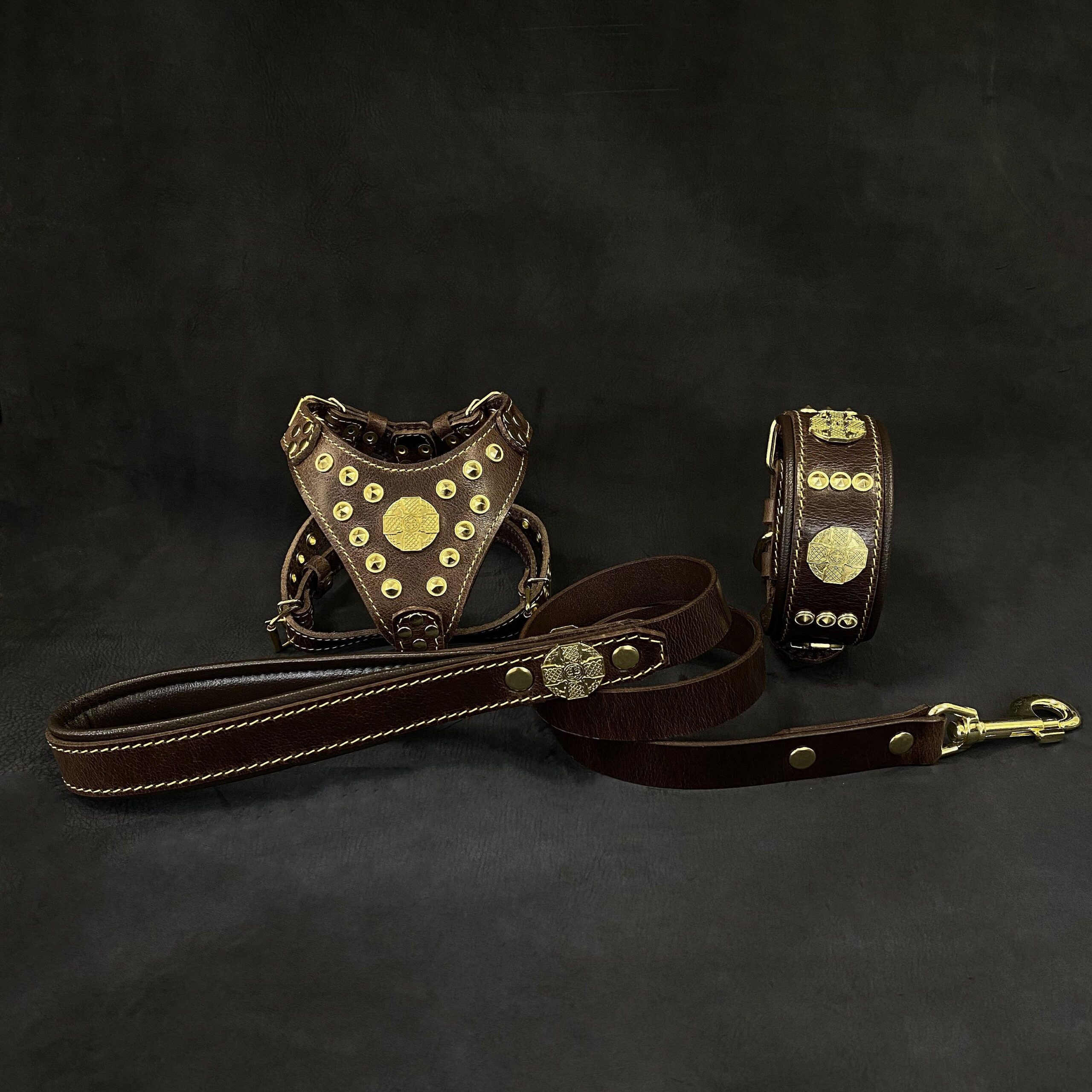 Bestia "Maximus Brown&Gold" Zestaw dla małego psa - Szelki - obroża - smycz — photo 4