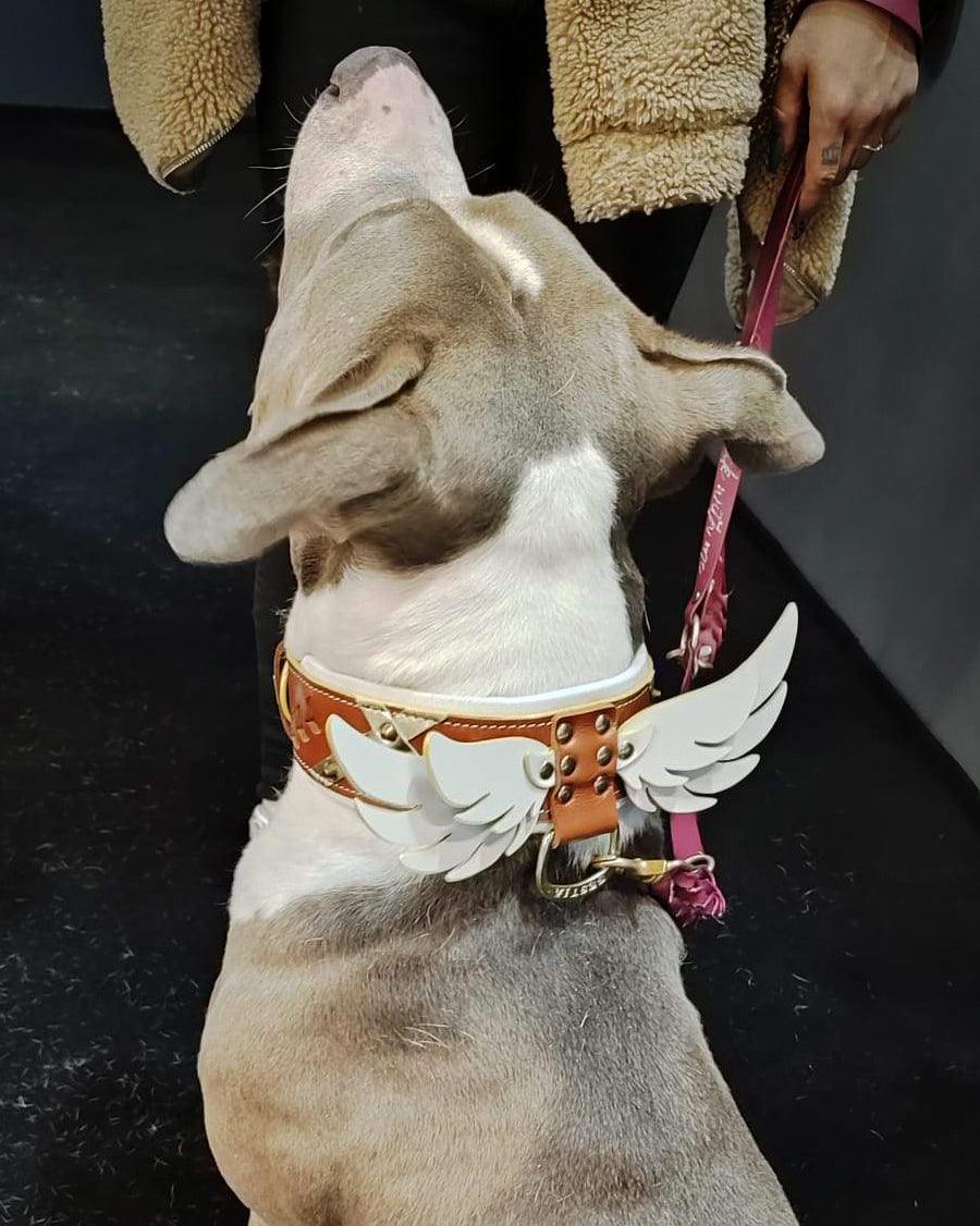 Bestia Obroża Hermes — photo 3