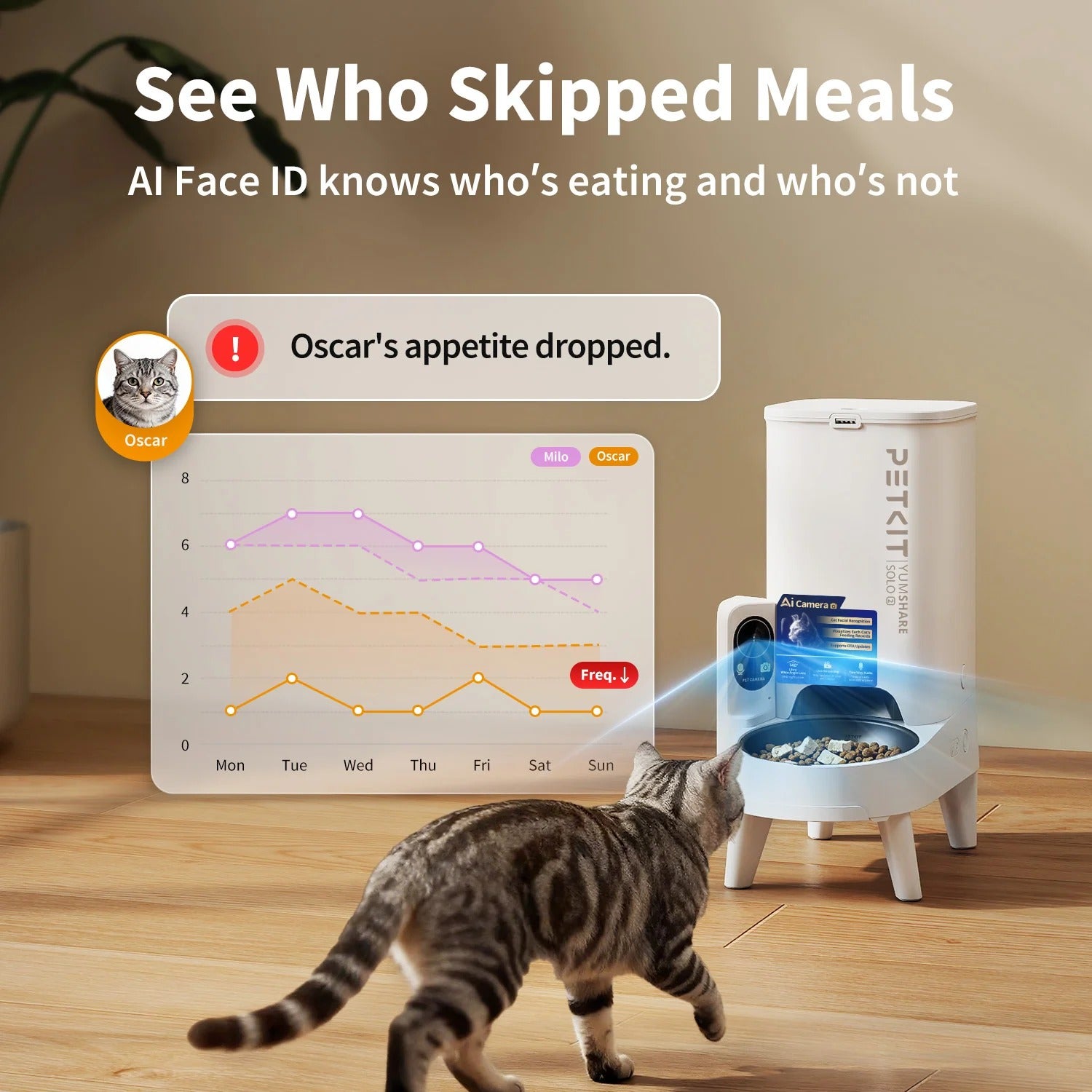 Petkit Europe YumShare Solo 2 Automatyczny karmnik z kamerą — Miski, karmniki i fontanny — photo 5