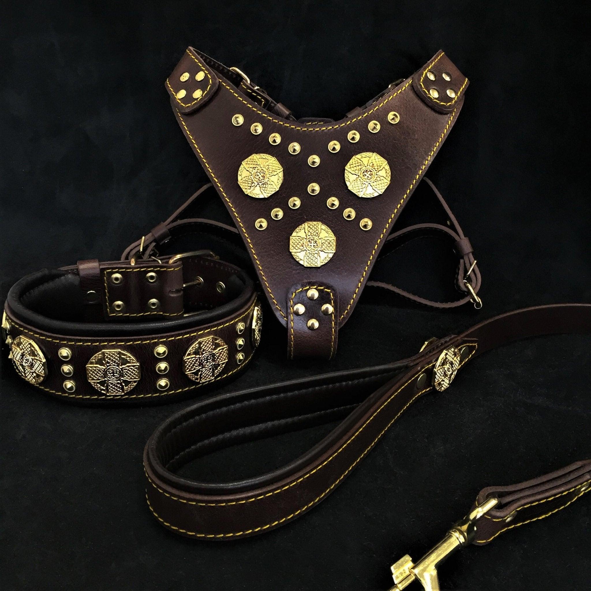 Bestia "Maximus Brown" BIG dog SET- Harnais - collier - laisse. Rivets en laiton — photo 2