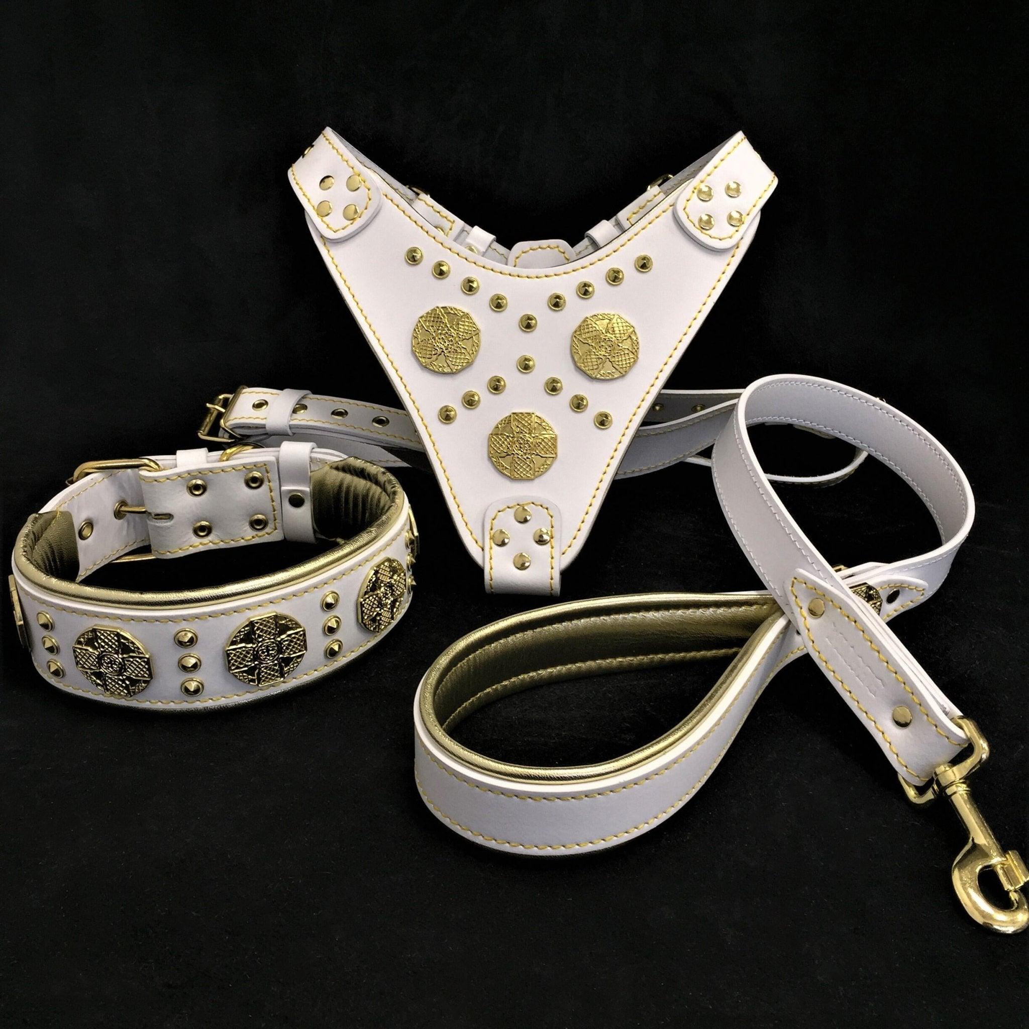 Bestia "Maximus White" SET GRAND chien - Harnais - collier - laisse. Rivets en laiton — photo 2