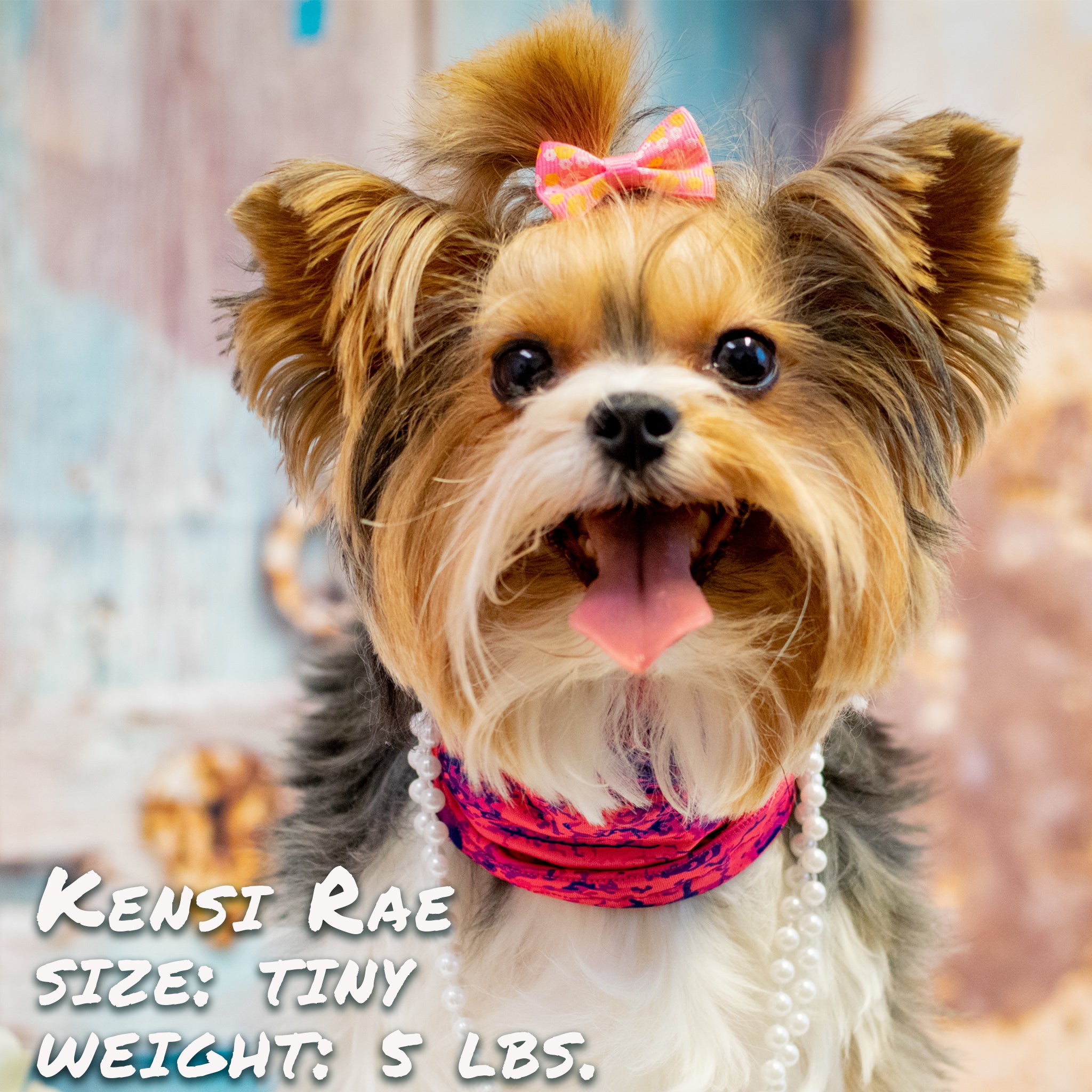 Pup Scruffs Tour de cou pour chien Rocky Road Pink — Vêtements pour chiens — photo 2