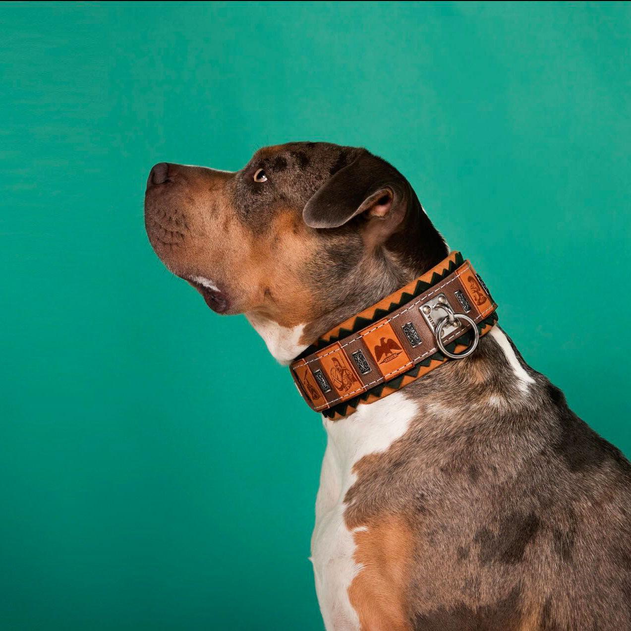 Bestia Le collier pour chien ''SPQR'' — photo 4