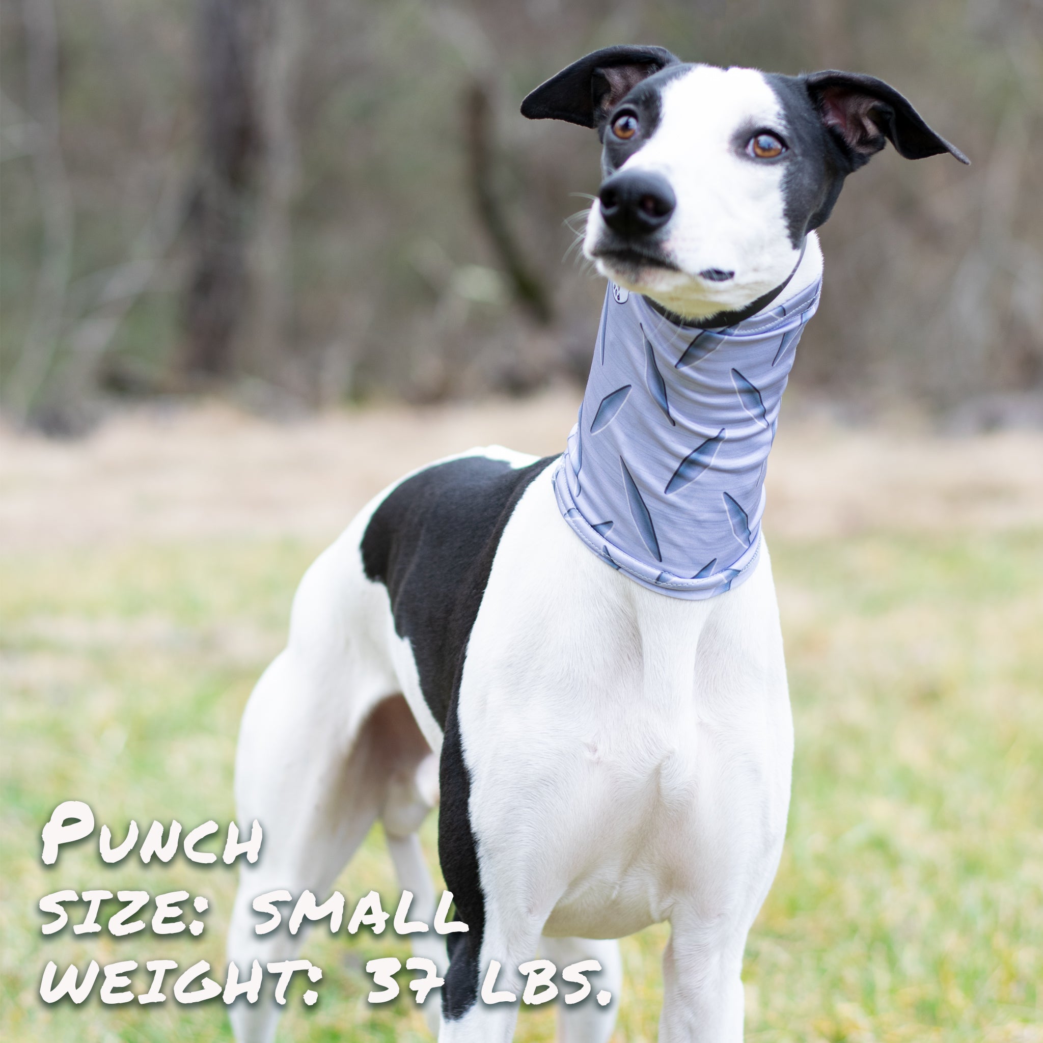Pup Scruffs Steel Plated Pup Komin dla psa — Ubranka dla psów — photo 4