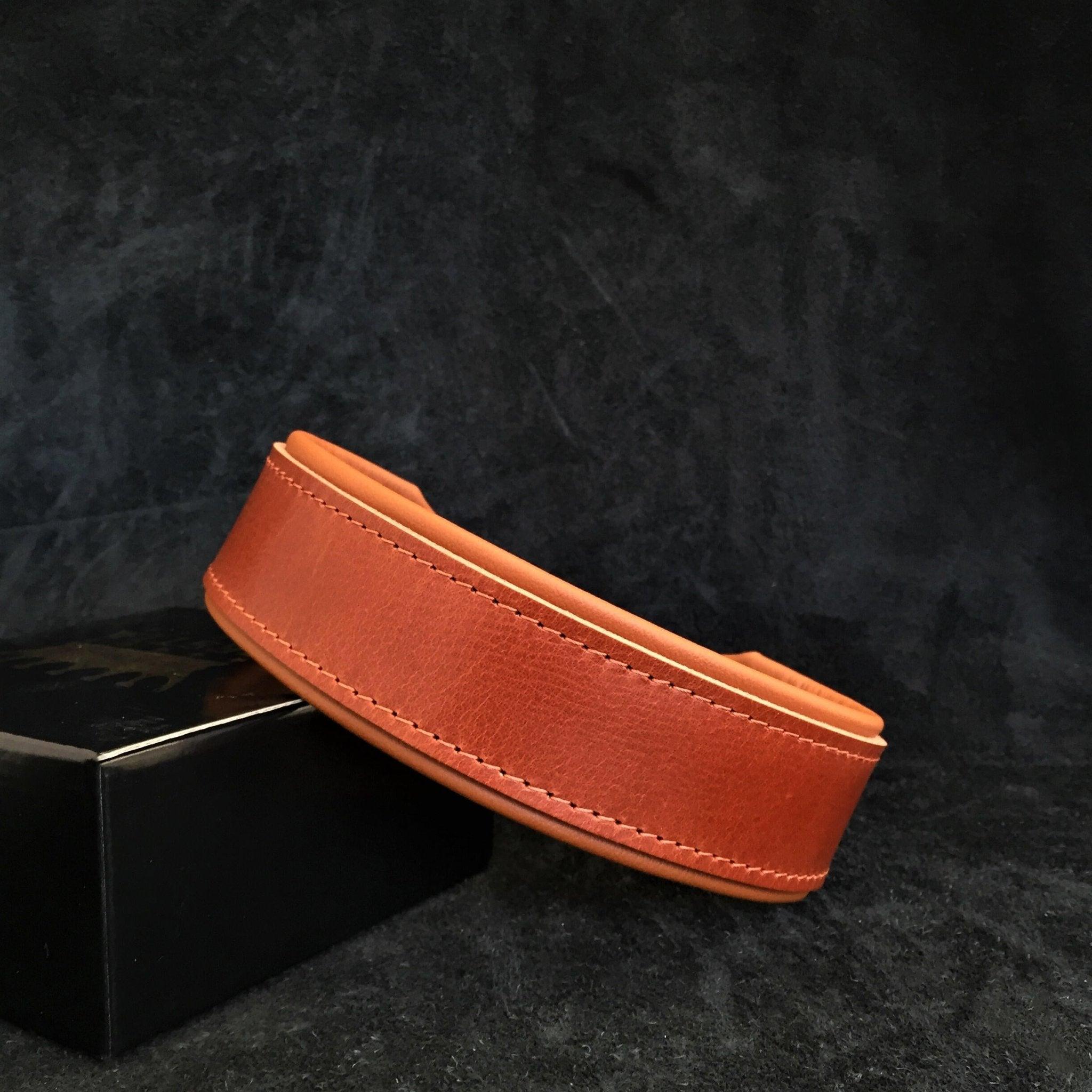 Bestia Collier pour chien « Stylish » de 2 pouces de large — photo 8
