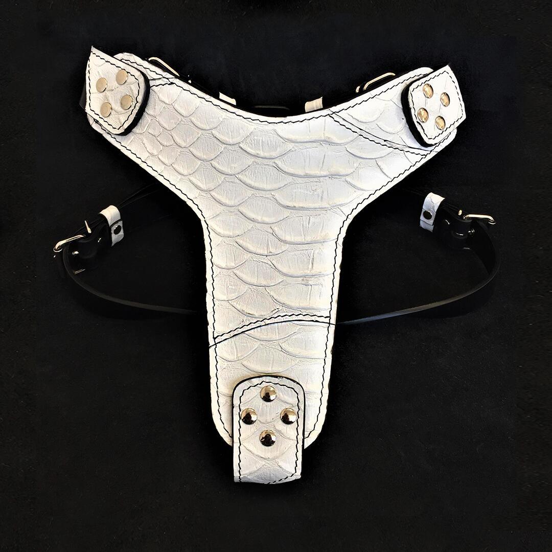 Bestia The ''Dragon Scale'' harness — Colliers, laisses et harnais