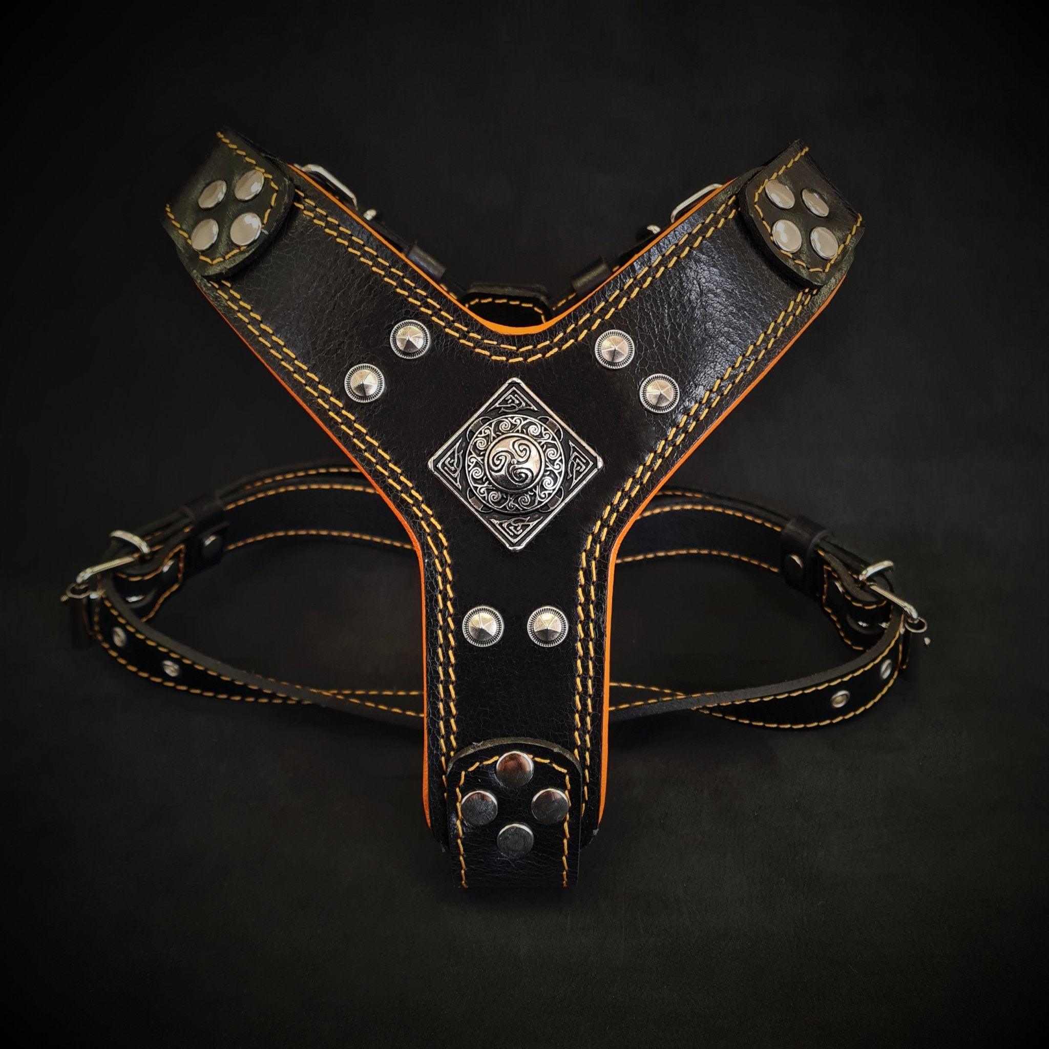 Bestia Le harnais « Eros » Black & Orange Small to Medium Size — Colliers, laisses et harnais — photo 2