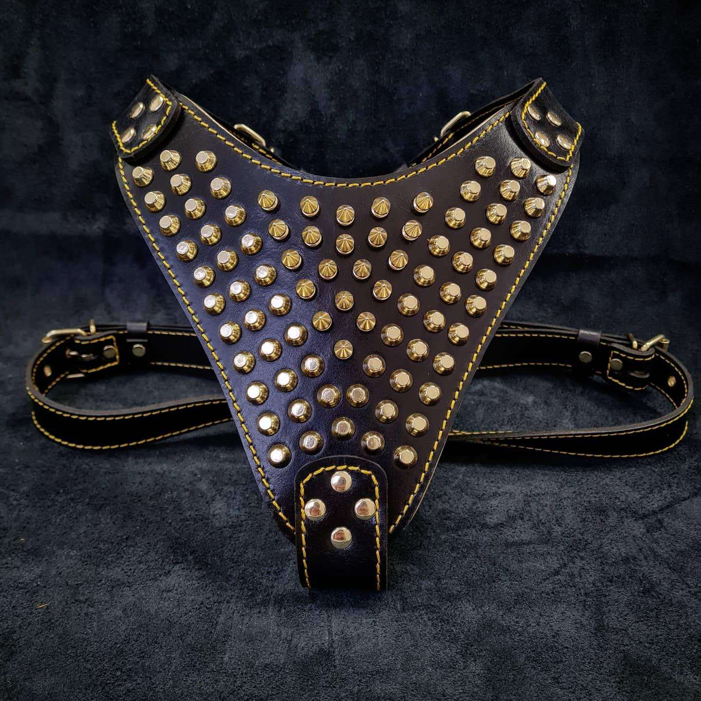 Bestia Szelki "Gladiator" Gold/Silver — Obroże, smycze i szelki — photo 2