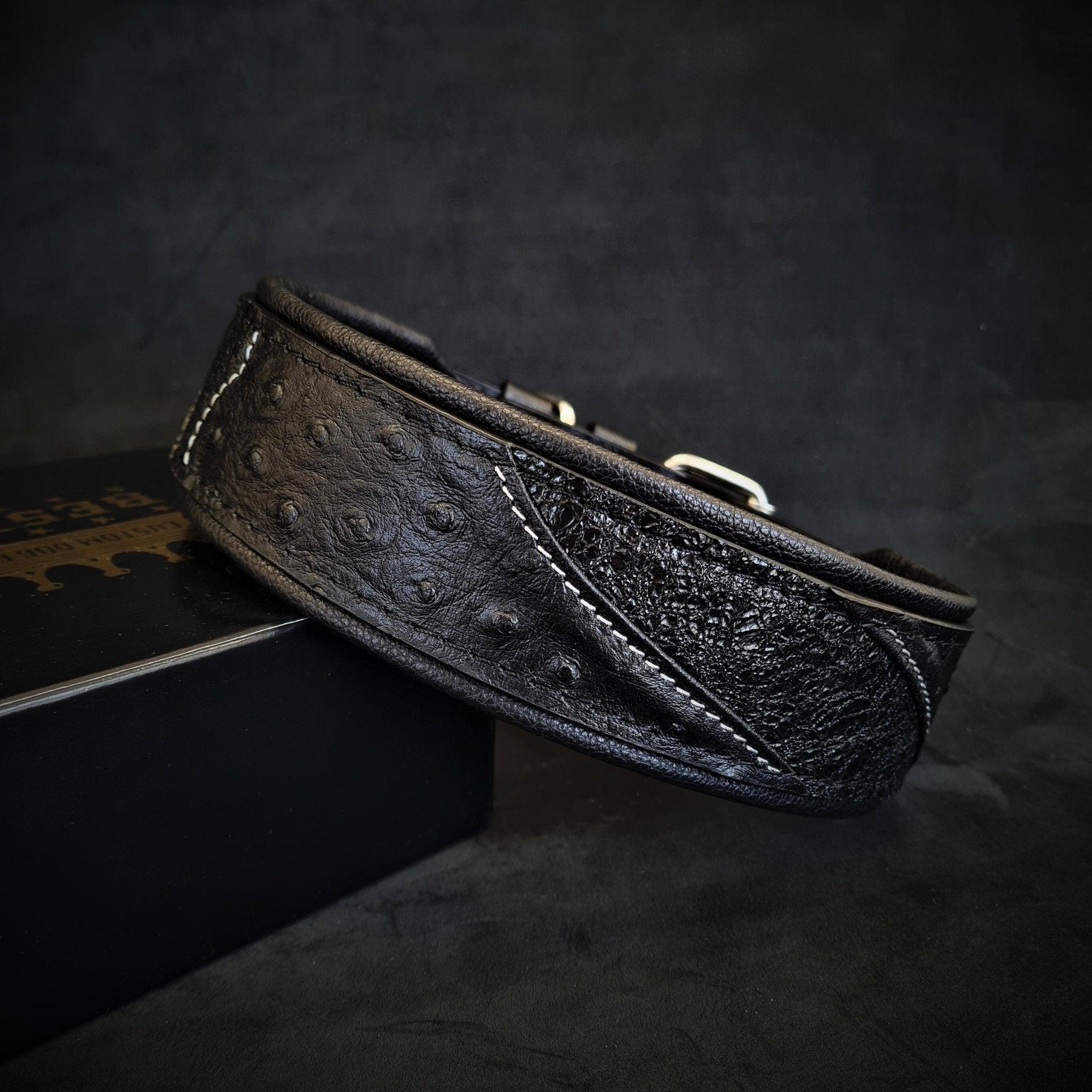 Bestia Obroża „Korona” WERSJA BLACK EDITION — photo 2