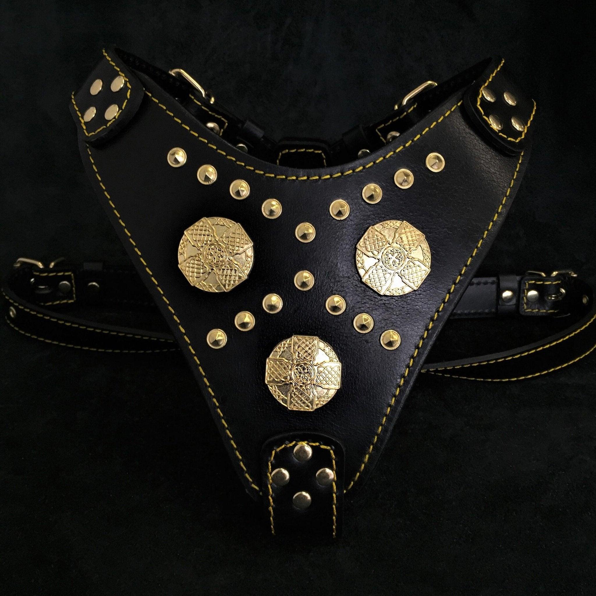 Bestia The "Maximus" harness black & gold — Colliers, laisses et harnais