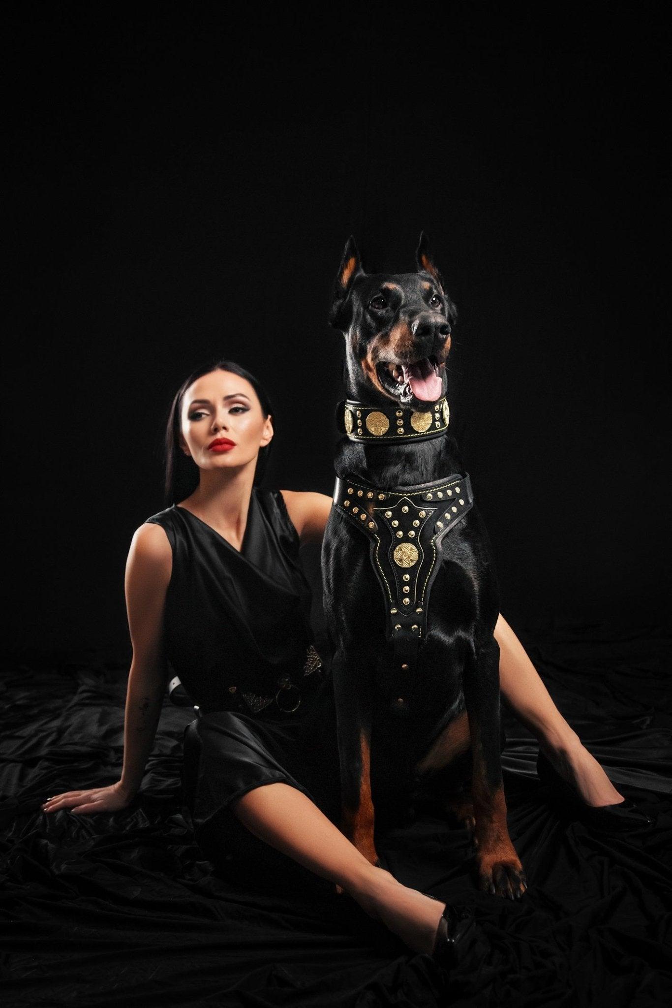 Bestia The "Maximus" harness V2 — Obroże, smycze i szelki — photo 2