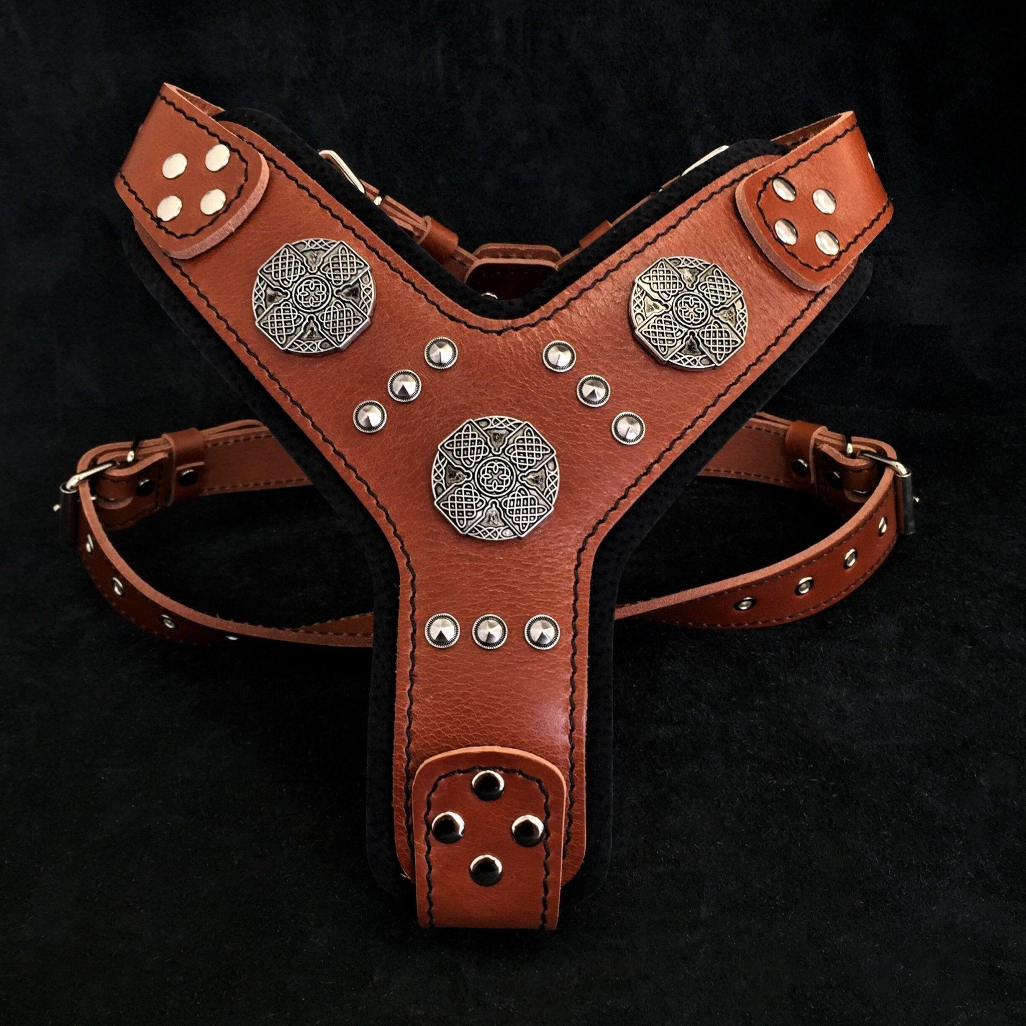 Bestia The "Maximus" silver harness — Obroże, smycze i szelki — photo 2