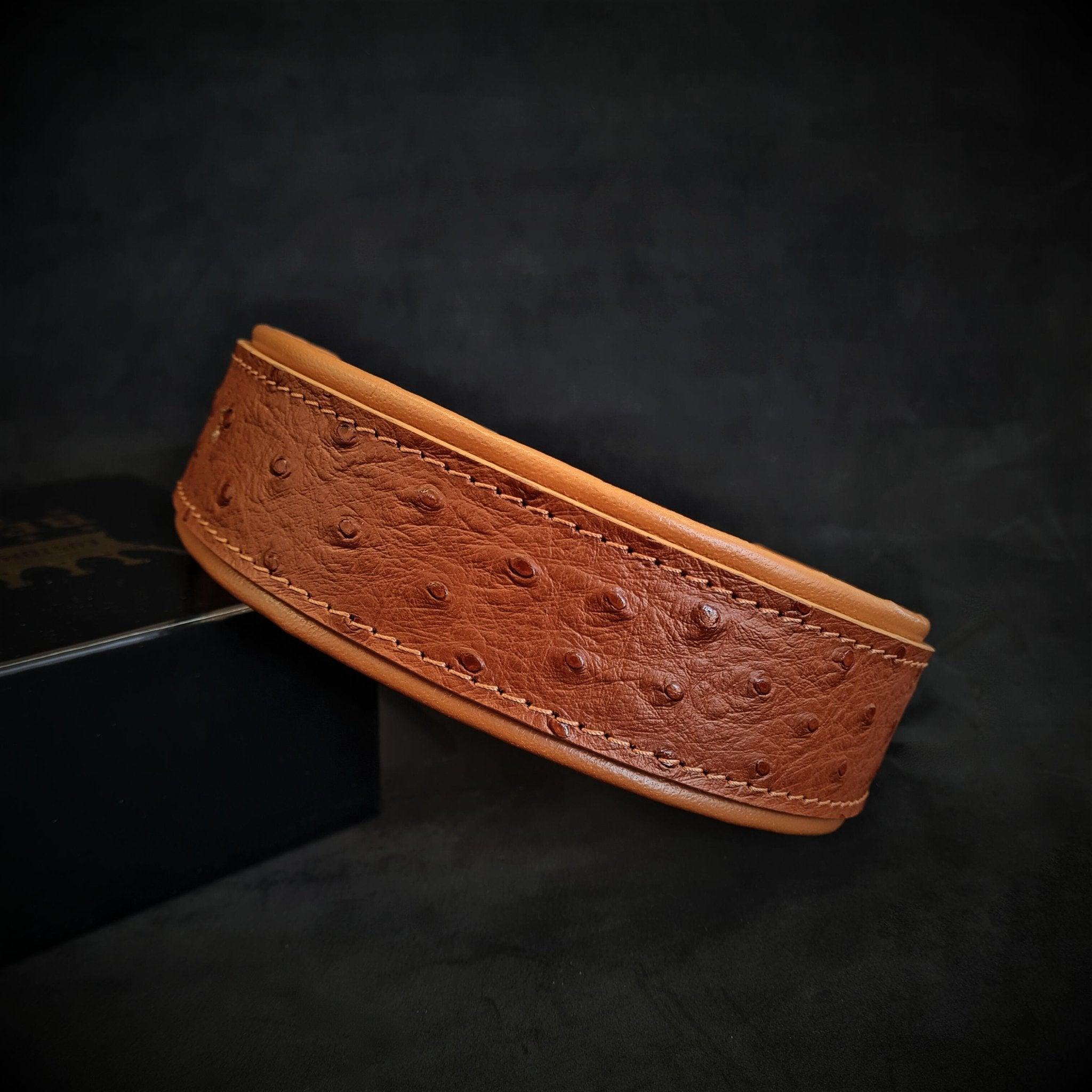 Bestia Obroża "Ostrich" LIMITED — photo 2