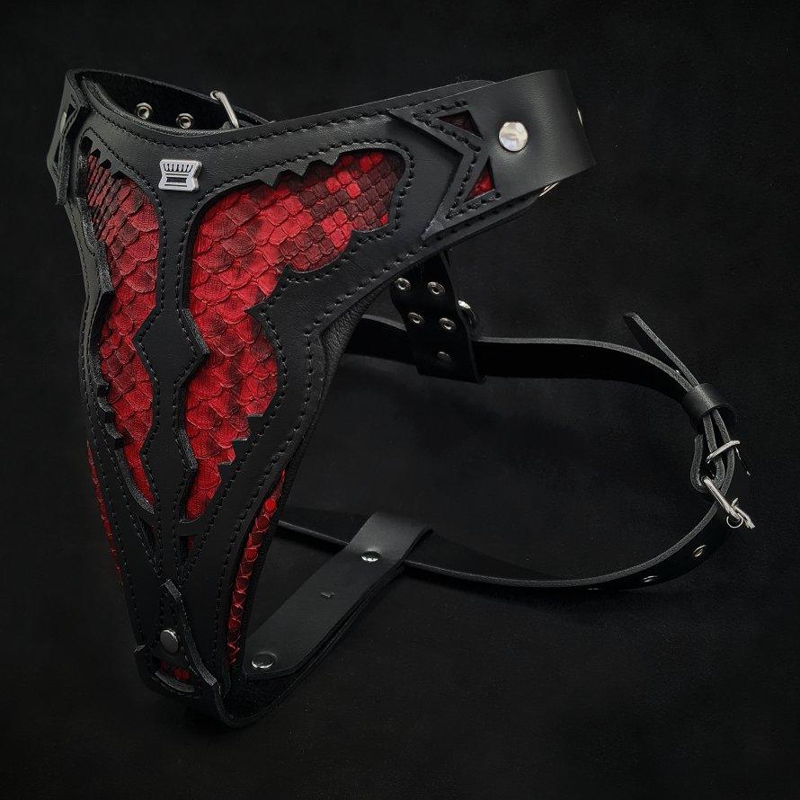 Bestia The ''Red Dragon'' harness — Obroże, smycze i szelki — photo 2
