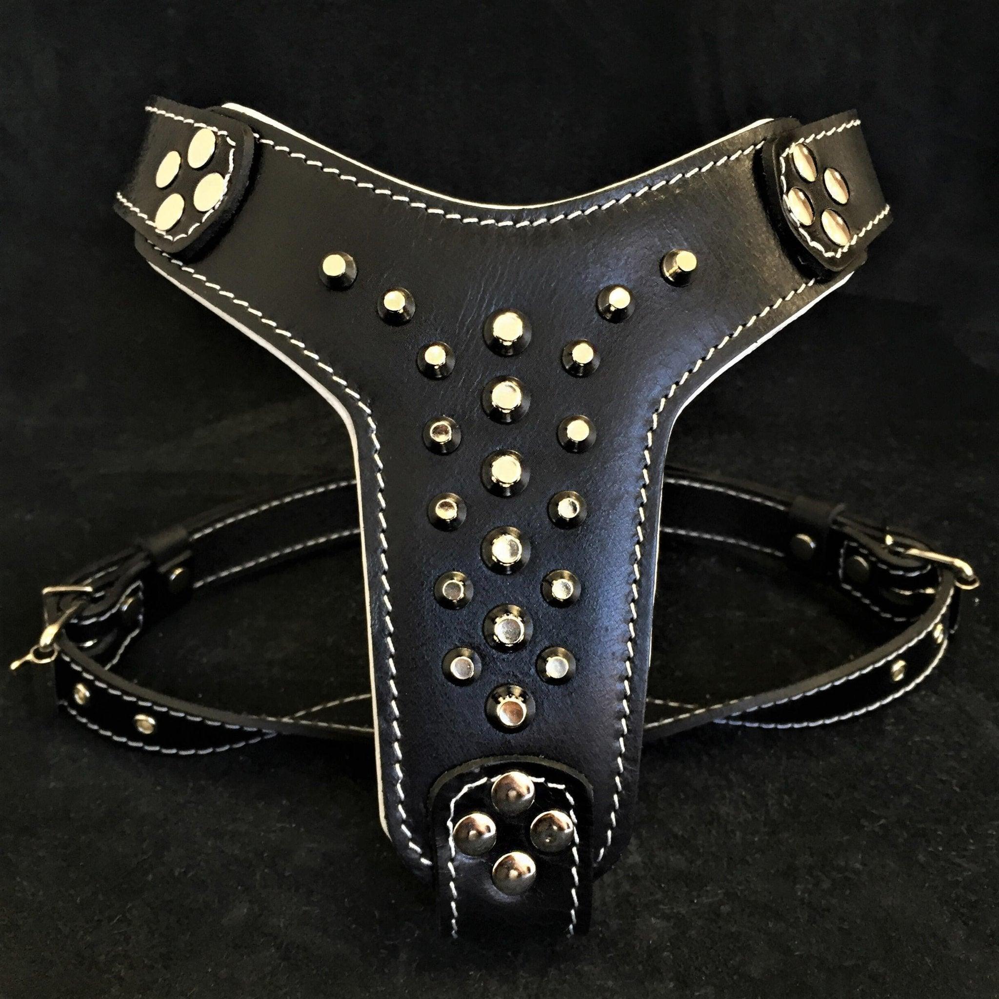 Bestia Le harnais en cuir clouté "Rocky" Taille Petite à Moyenne — Colliers, laisses et harnais — photo 12