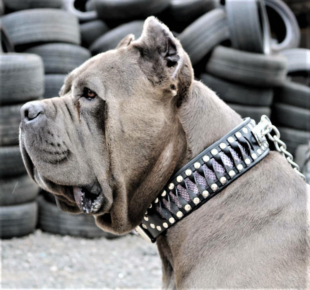 Bestia Le collier « Steampunk » design exclusif — photo 4