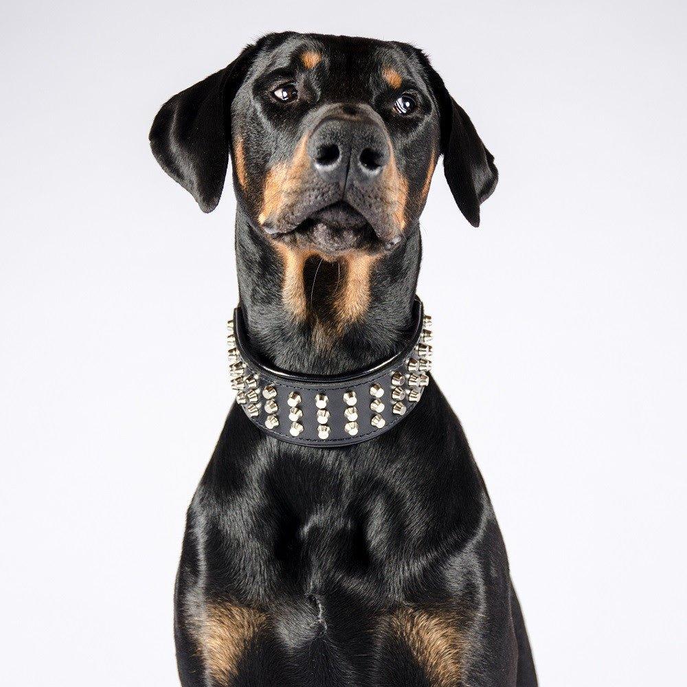 Bestia Obroża dla psa "Stud" — photo 3