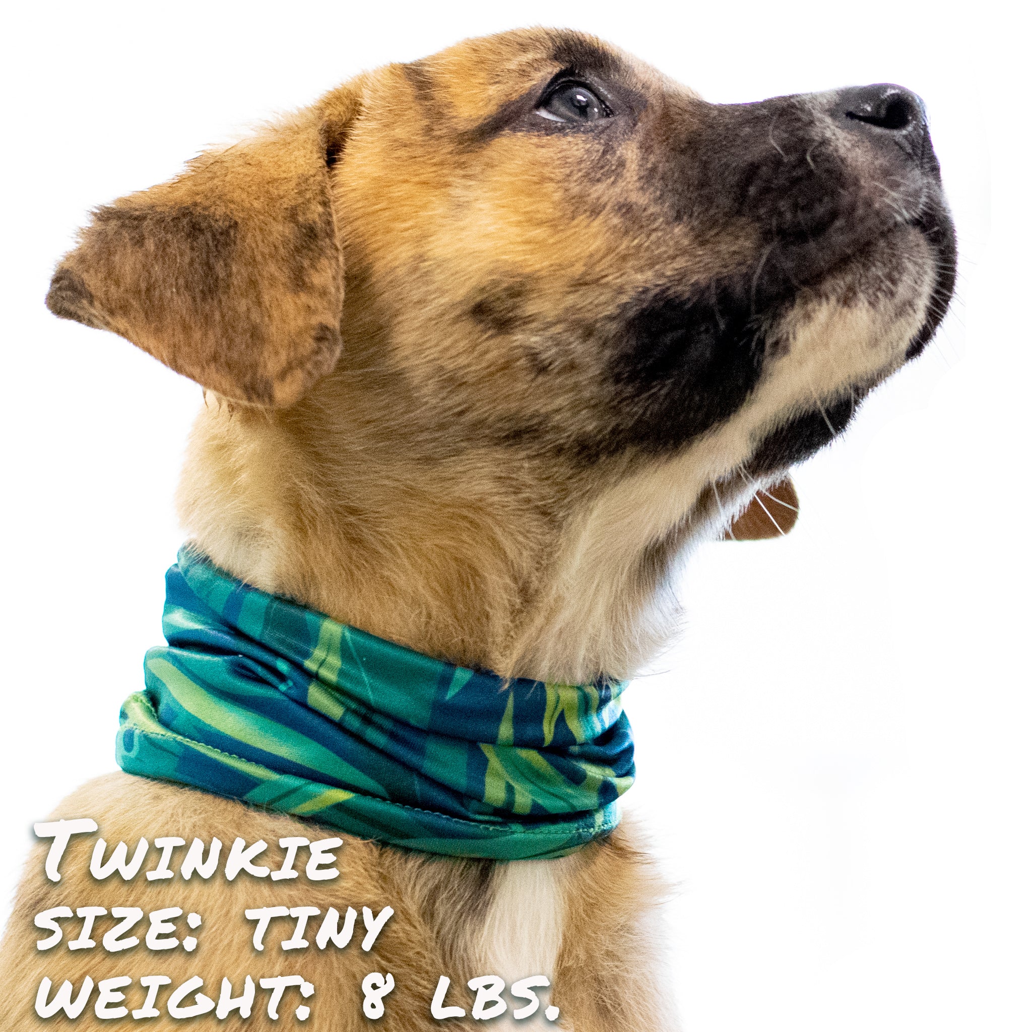 Pup Scruffs Tropupcal Rainforest tour de cou pour chien — Vêtements pour chiens — photo 2