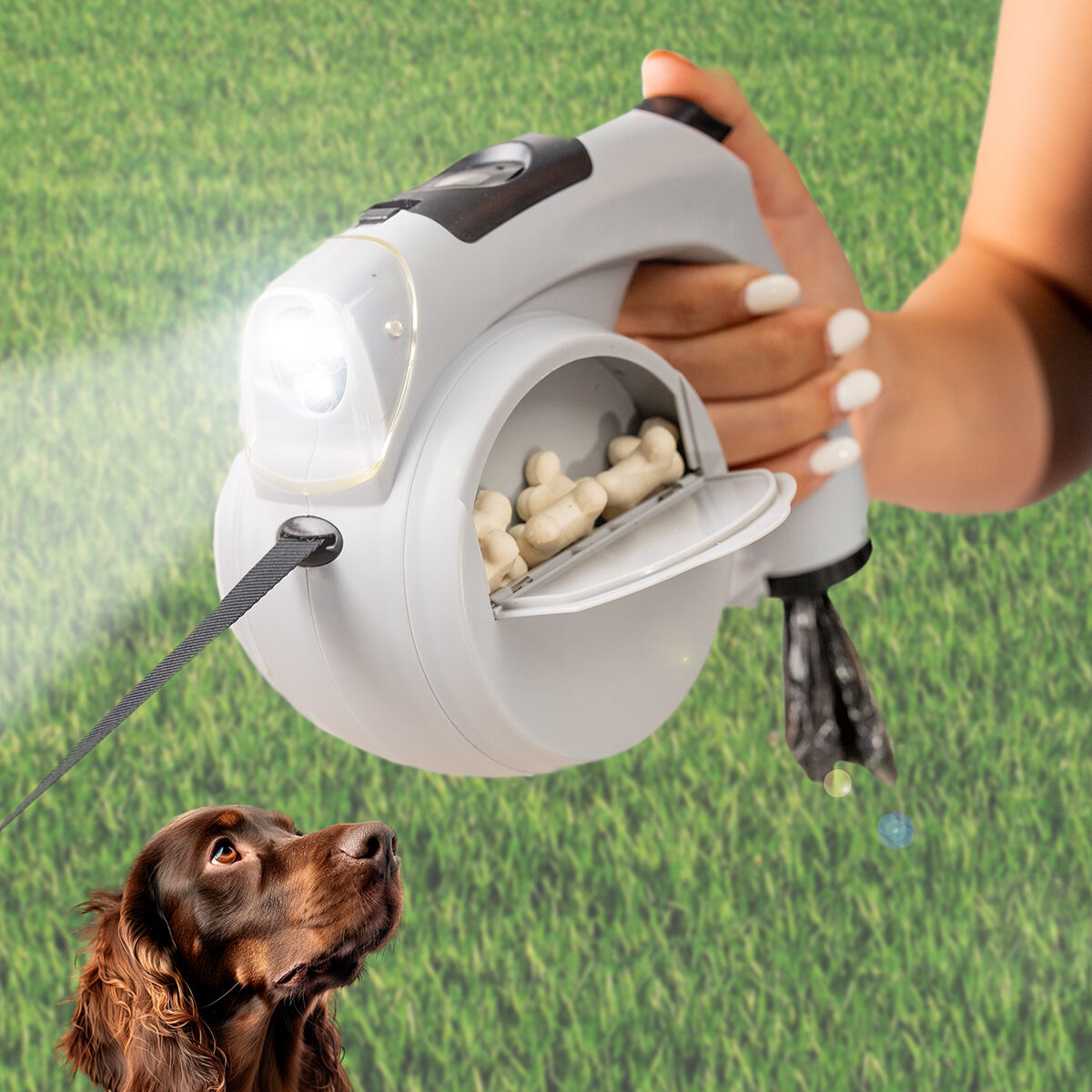 Laisse rétractable pour chien 6-en-1 Leashic InnovaGoods — Colliers, laisses et harnais — photo 2