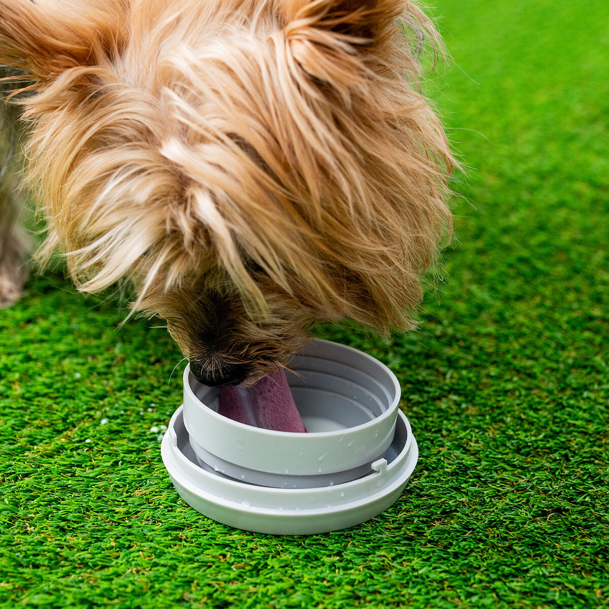Laisse rétractable pour chien 6-en-1 Leashic InnovaGoods — Colliers, laisses et harnais — photo 6