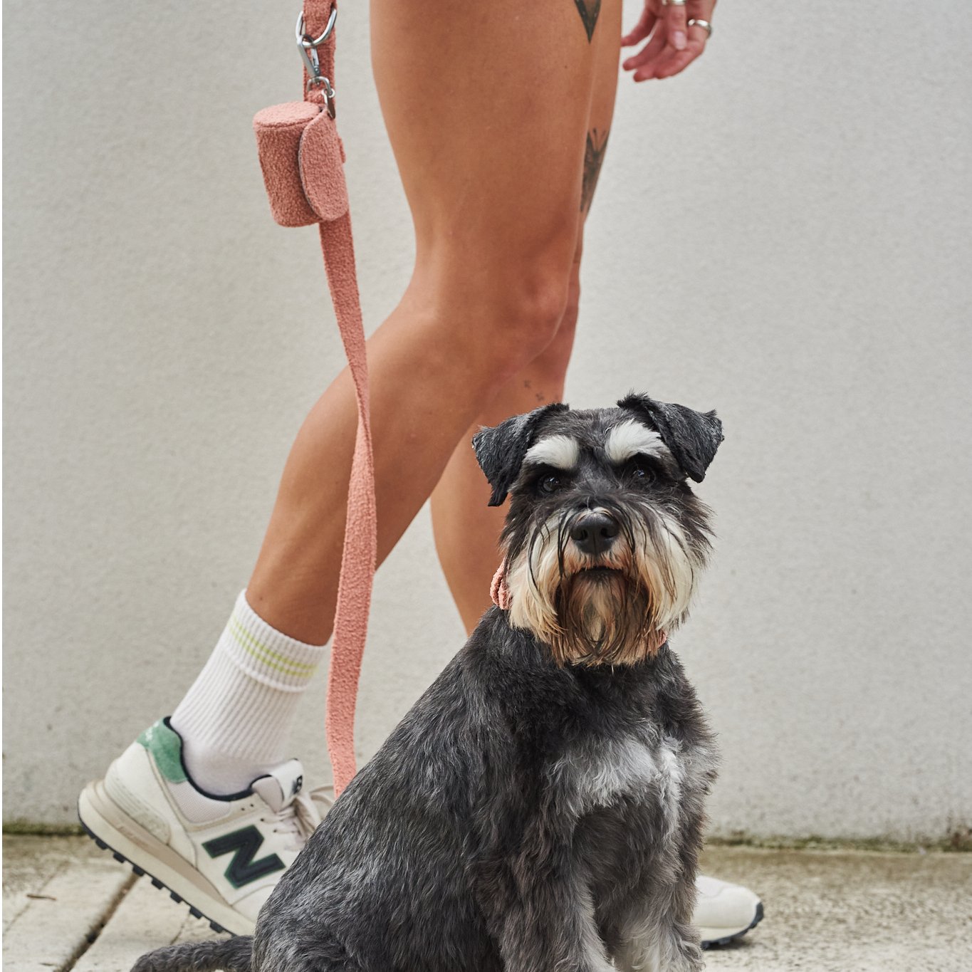 Lilly+Dash pojemniki na woreczki — Obroże, smycze i szelki — photo 3