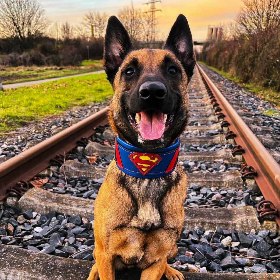Bestia Superdog Obroża — photo 2