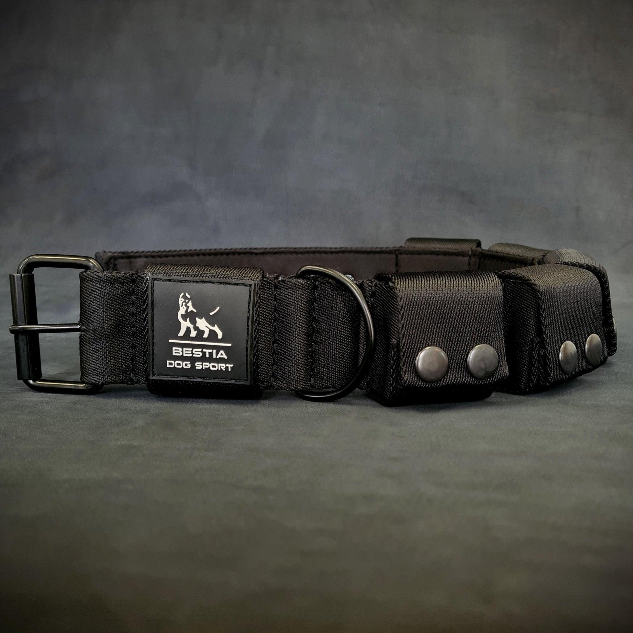 Bestia Dog Sport Treningowa obroża z ciężarkami. Duże rasy. Łącznie 5 lbs. Odchylny ciężarki — photo 3