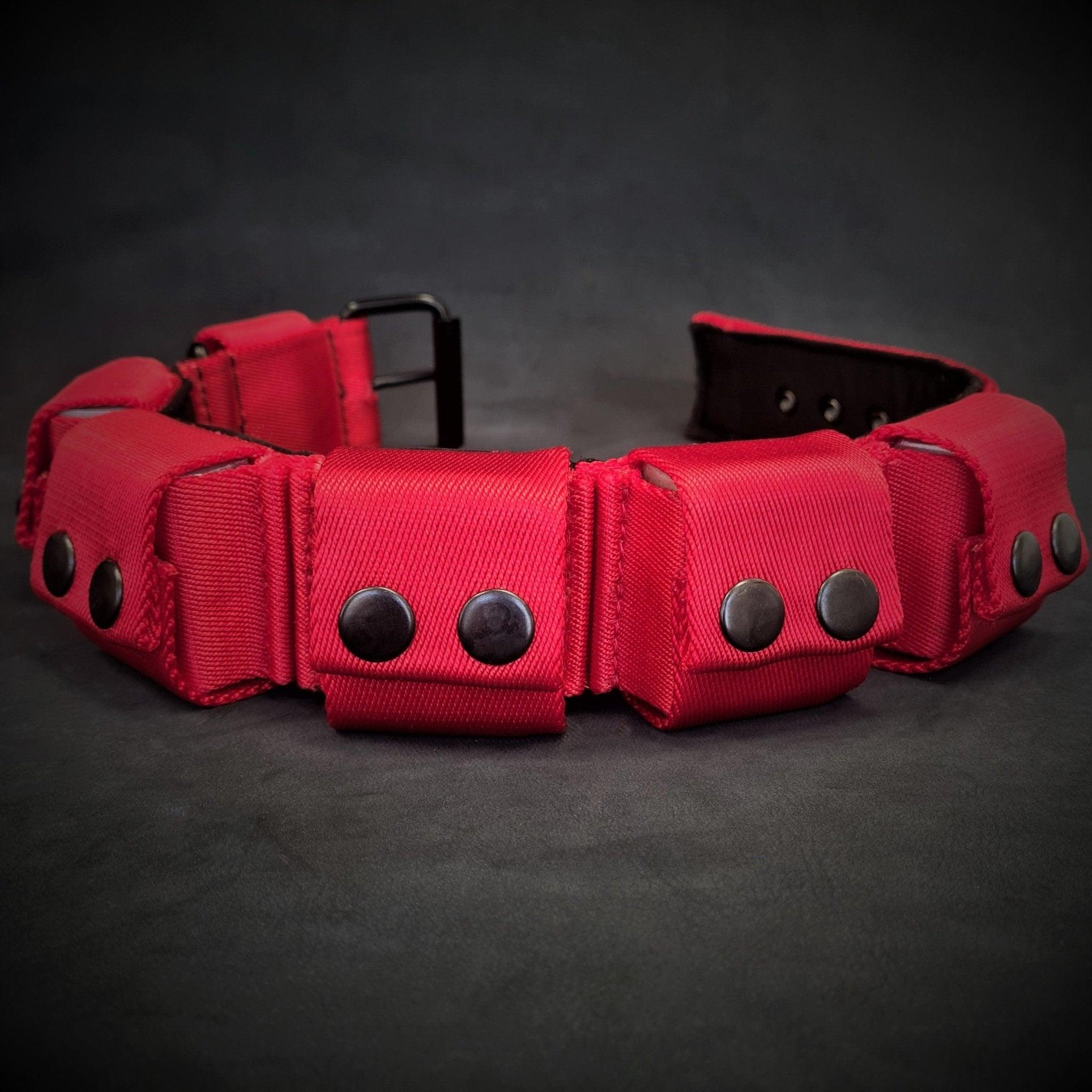 Bestia Dog Sport Collier d'entraînement lesté pour chien - Rouge. Grandes races. Poids total de 5 lbs. poids amovibles — photo 4