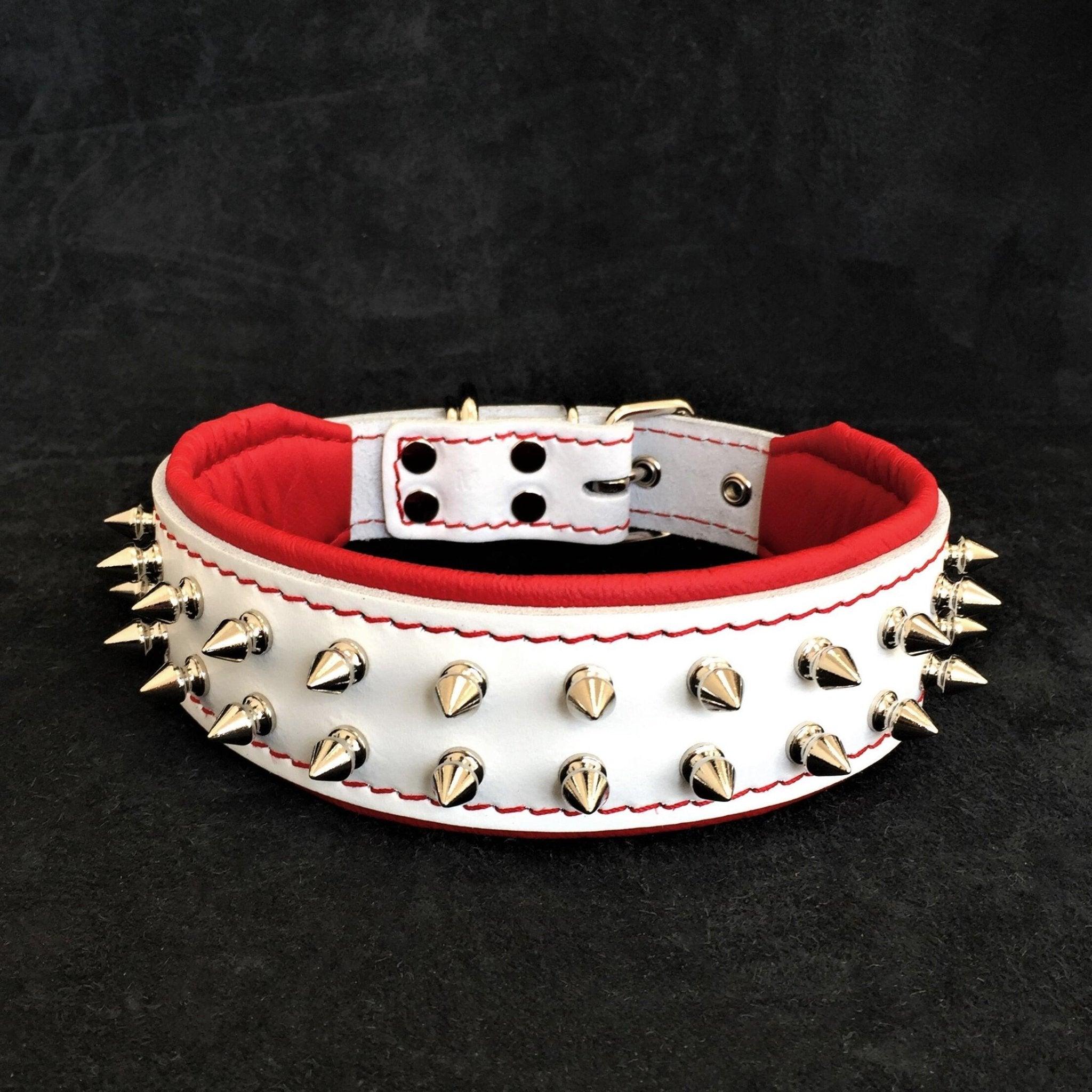 Bestia Collier pour chien blanc « Frenchie » — photo 2